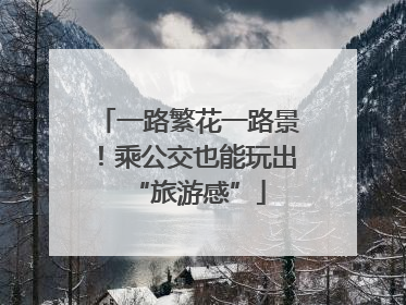 一路繁花一路景！乘公交也能玩出“旅游感”