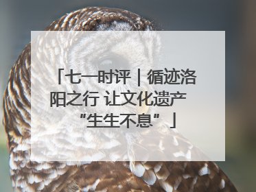 七一时评｜循迹洛阳之行 让文化遗产“生生不息”