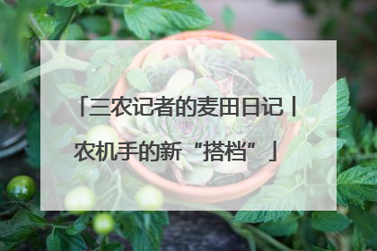 三农记者的麦田日记丨农机手的新“搭档”