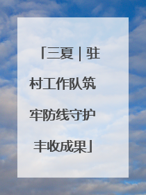 三夏｜驻村工作队筑牢防线守护丰收成果