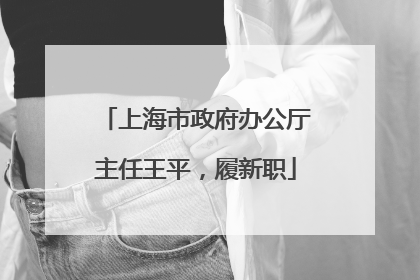 上海市政府办公厅主任王平，履新职