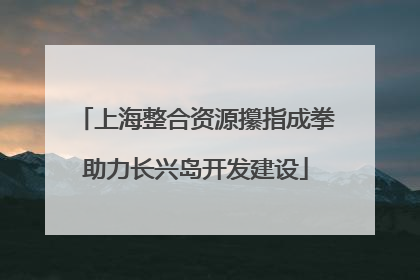 上海整合资源攥指成拳助力长兴岛开发建设