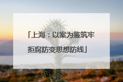 上海：以案为鉴筑牢拒腐防变思想防线