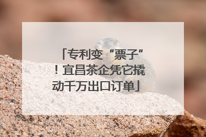 专利变“票子”！宜昌茶企凭它撬动千万出口订单