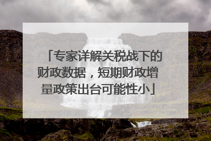 专家详解关税战下的财政数据，短期财政增量政策出台可能性小