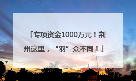 专项资金1000万元！荆州这里，“羽”众不同！