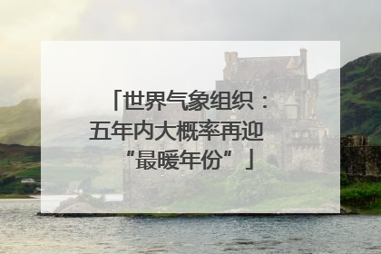世界气象组织：五年内大概率再迎“最暖年份”