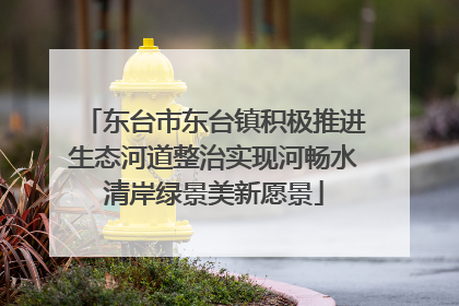 东台市东台镇积极推进生态河道整治实现河畅水清岸绿景美新愿景