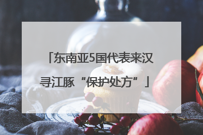 东南亚5国代表来汉寻江豚“保护处方”