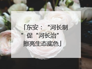 东安：“河长制”促“河长治” 擦亮生态底色