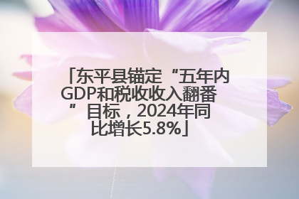东平县锚定“五年内GDP和税收收入翻番”目标，2024年同比增长5.8%