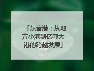 东营港：从地方小港到亿吨大港的跨越发展