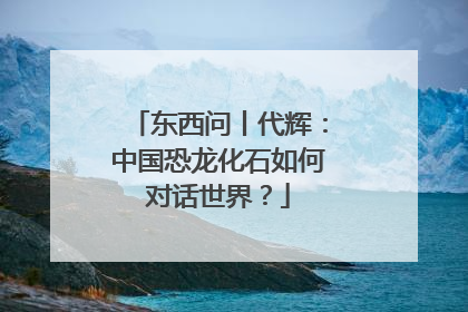 东西问丨代辉：中国恐龙化石如何对话世界？