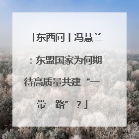 东西问丨冯慧兰：东盟国家为何期待高质量共建“一带一路”？