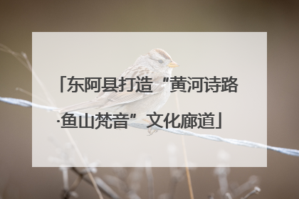 东阿县打造“黄河诗路·鱼山梵音”文化廊道