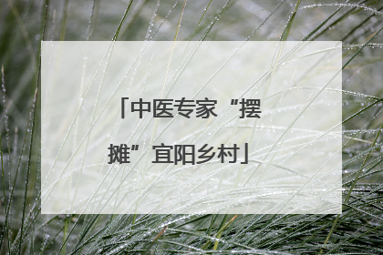 中医专家“摆摊”宜阳乡村
