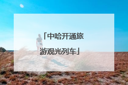中哈开通旅游观光列车