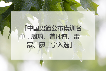 中国男篮公布集训名单，周琦、曾凡博、雷蒙、廖三宁入选