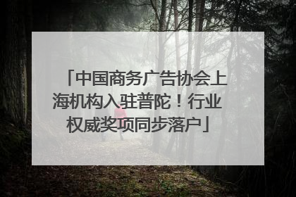中国商务广告协会上海机构入驻普陀！行业权威奖项同步落户