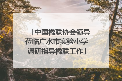 中国楹联协会领导莅临广水市实验小学调研指导楹联工作