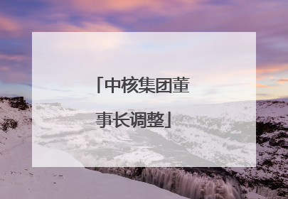 中核集团董事长调整