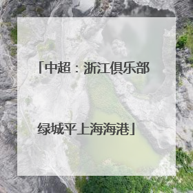 中超：浙江俱乐部绿城平上海海港
