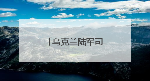 乌克兰陆军司令德拉帕特宣布将继续留任