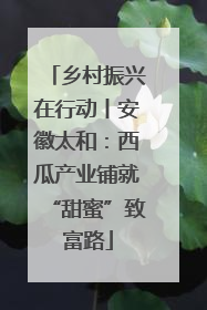 乡村振兴在行动丨安徽太和：西瓜产业铺就“甜蜜”致富路
