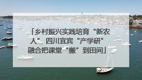 乡村振兴实践培育“新农人” 四川宜宾“产学研”融合把课堂“搬”到田间