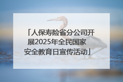 人保寿险省分公司开展2025年全民国家安全教育日宣传活动