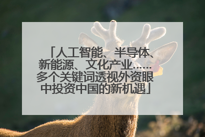 人工智能、半导体、新能源、文化产业……多个关键词透视外资眼中投资中国的新机遇