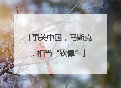 事关中国，马斯克：相当“钦佩”