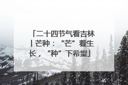 二十四节气看吉林丨芒种：“芒”着生长，“种”下希望