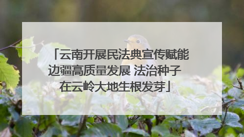 云南开展民法典宣传赋能边疆高质量发展 法治种子在云岭大地生根发芽