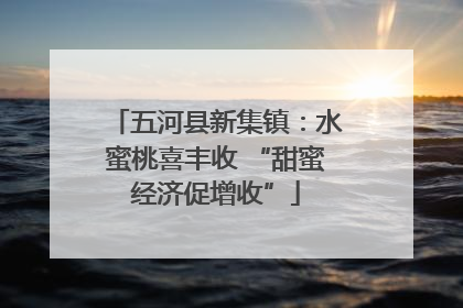 五河县新集镇：水蜜桃喜丰收 “甜蜜经济促增收”