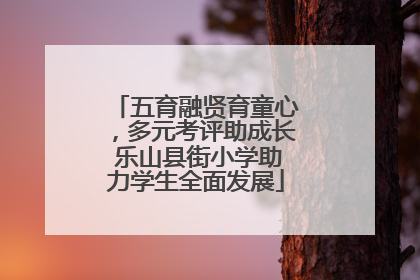 五育融贤育童心，多元考评助成长 乐山县街小学助力学生全面发展