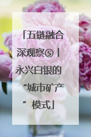 五链融合深观察⑤丨永兴白银的“城市矿产”模式