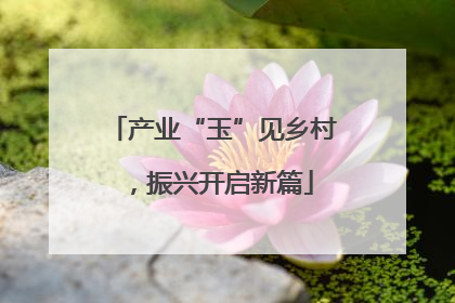 产业“玉”见乡村，振兴开启新篇