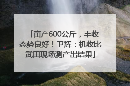 亩产600公斤，丰收态势良好！卫辉：机收比武田现场测产出结果