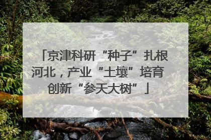 京津科研“种子”扎根河北，产业“土壤”培育创新“参天大树”