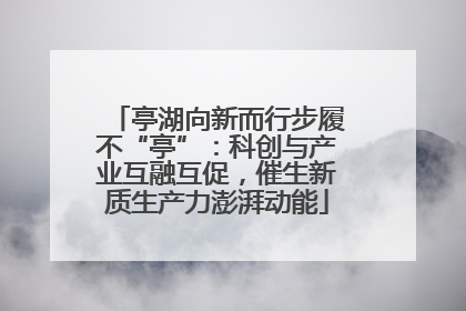 亭湖向新而行步履不“亭”：科创与产业互融互促，催生新质生产力澎湃动能