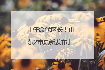 任命代区长！山东2市最新发布