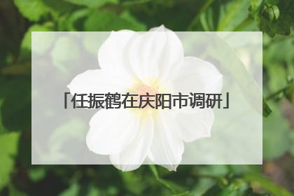 任振鹤在庆阳市调研