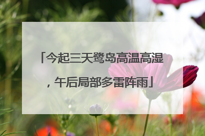 今起三天鹭岛高温高湿，午后局部多雷阵雨