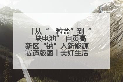 从“一粒盐”到“一块电池” 自贡高新区“钠”入新能源赛道版图丨美好生活有“盐”味