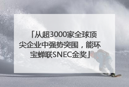 从超3000家全球顶尖企业中强势突围，能环宝蝉联SNEC金奖