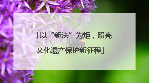 以“新法”为炬，照亮文化遗产保护新征程