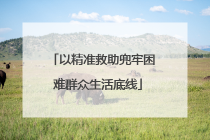 以精准救助兜牢困难群众生活底线