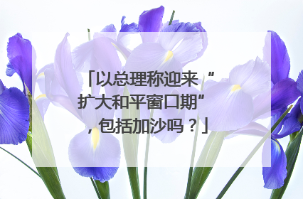 以总理称迎来“扩大和平窗口期”，包括加沙吗？
