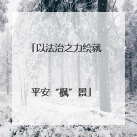 以法治之力绘就平安“枫”景